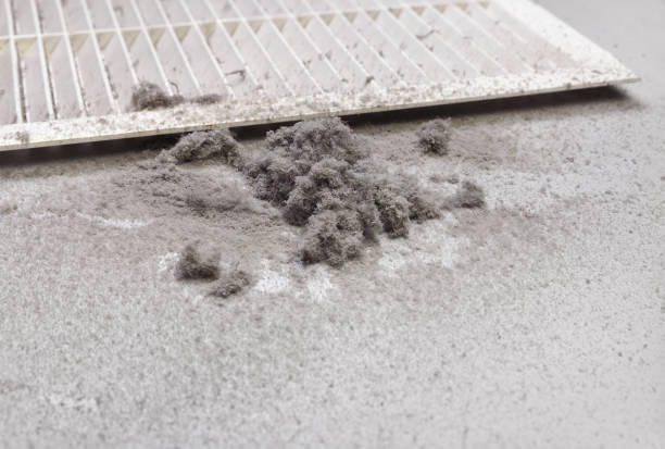 Best Commercial Air Duct Cleaning  in Edgewood, NM