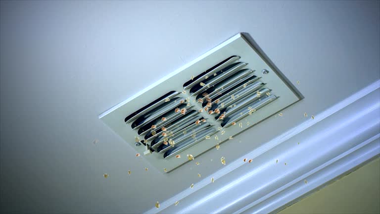 Best Home Air Vent Cleaning  in Edgewood, NM