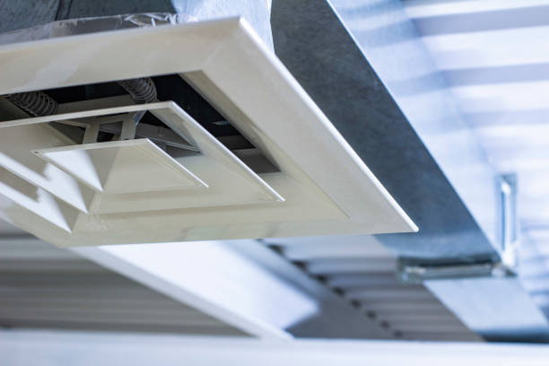Best Air Vent Cleaning Services  in Edgewood, NM