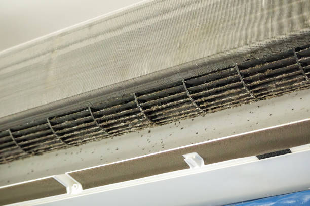 Best Air Duct Cleaning Company Near Me  in Edgewood, NM